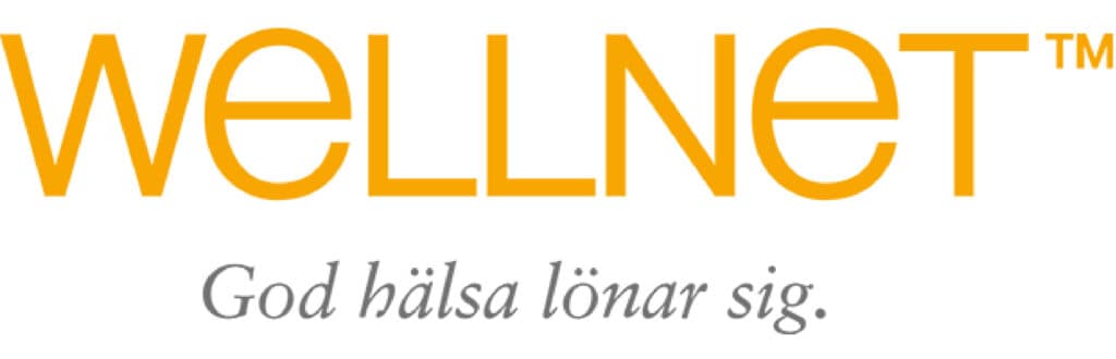 wellnet-kiropraktor
